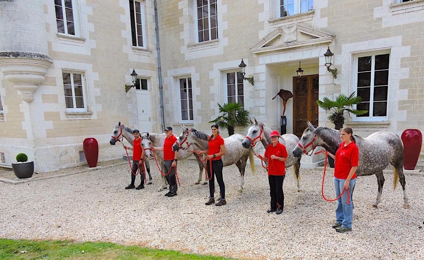 Chateau De Bellevue B&B Et Appartements Avec Piscine Saisonal Chauffee Et Chambres Partout Climatisees Saint-Avit  Екстериор снимка